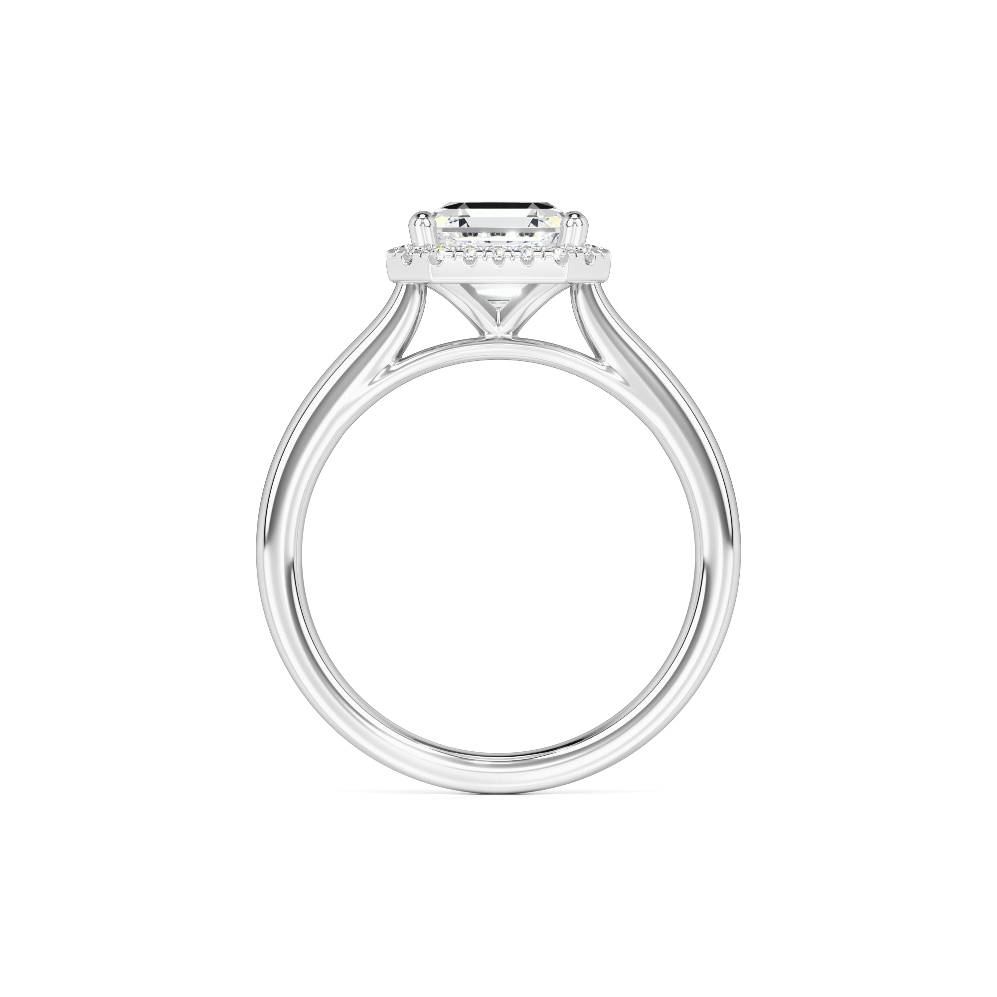 Lennon Moissanite & Lab Grown Diamond Ring | White Gold | 4