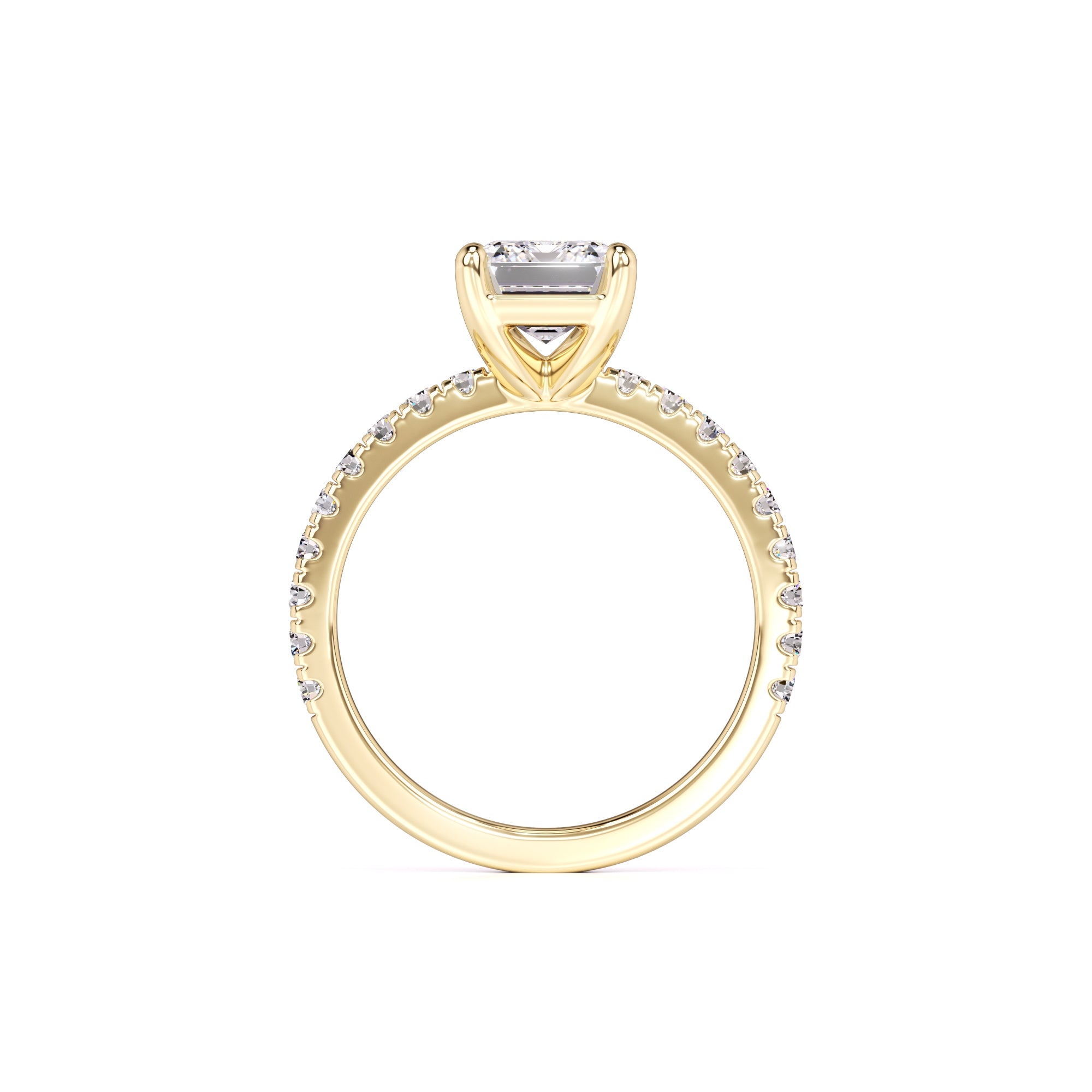 Tinsley Moissanite & Lab Grown Diamond Ring | Yellow Gold | 4
