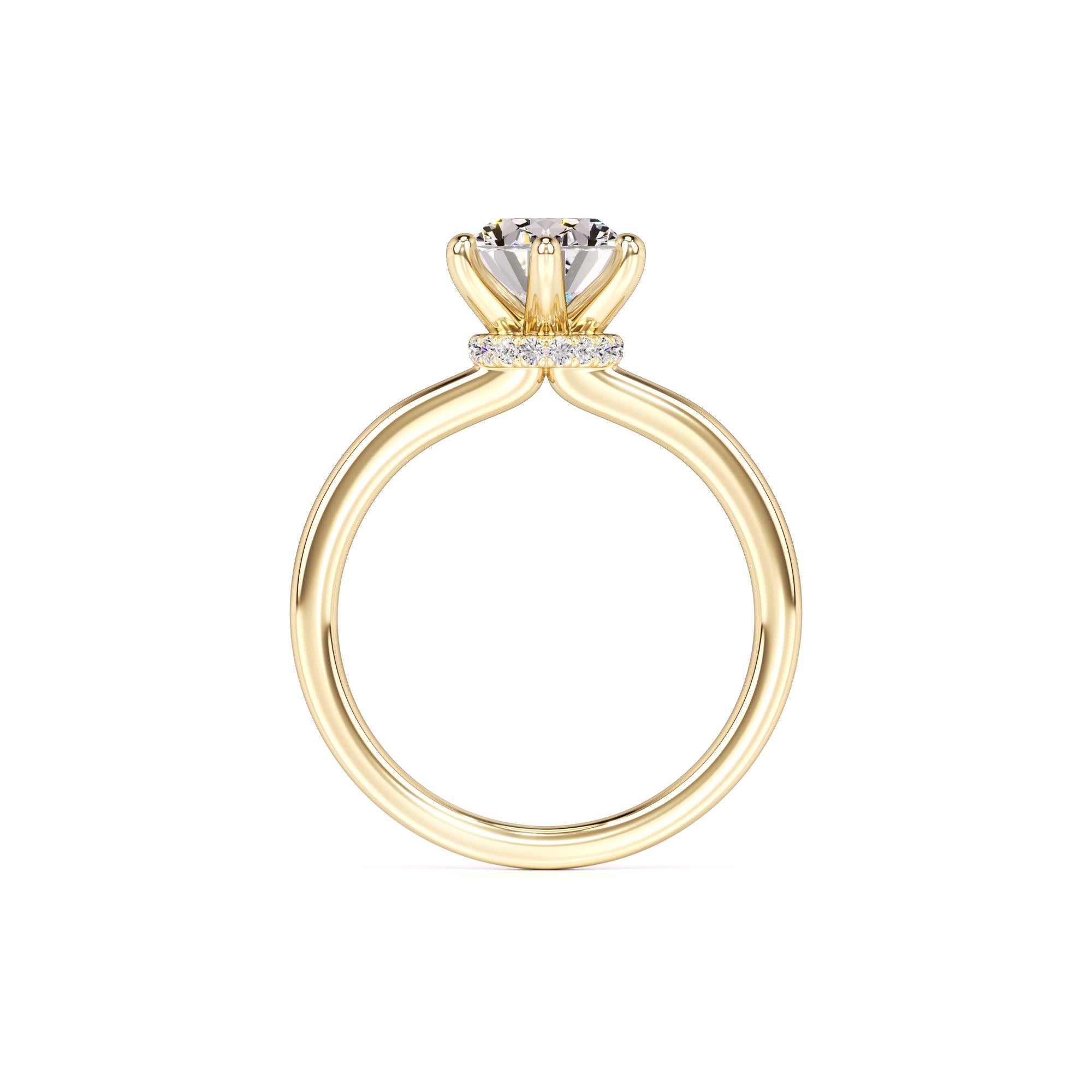 Ariana Moissanite & Lab Grown Diamond Ring | Yellow Gold | 4