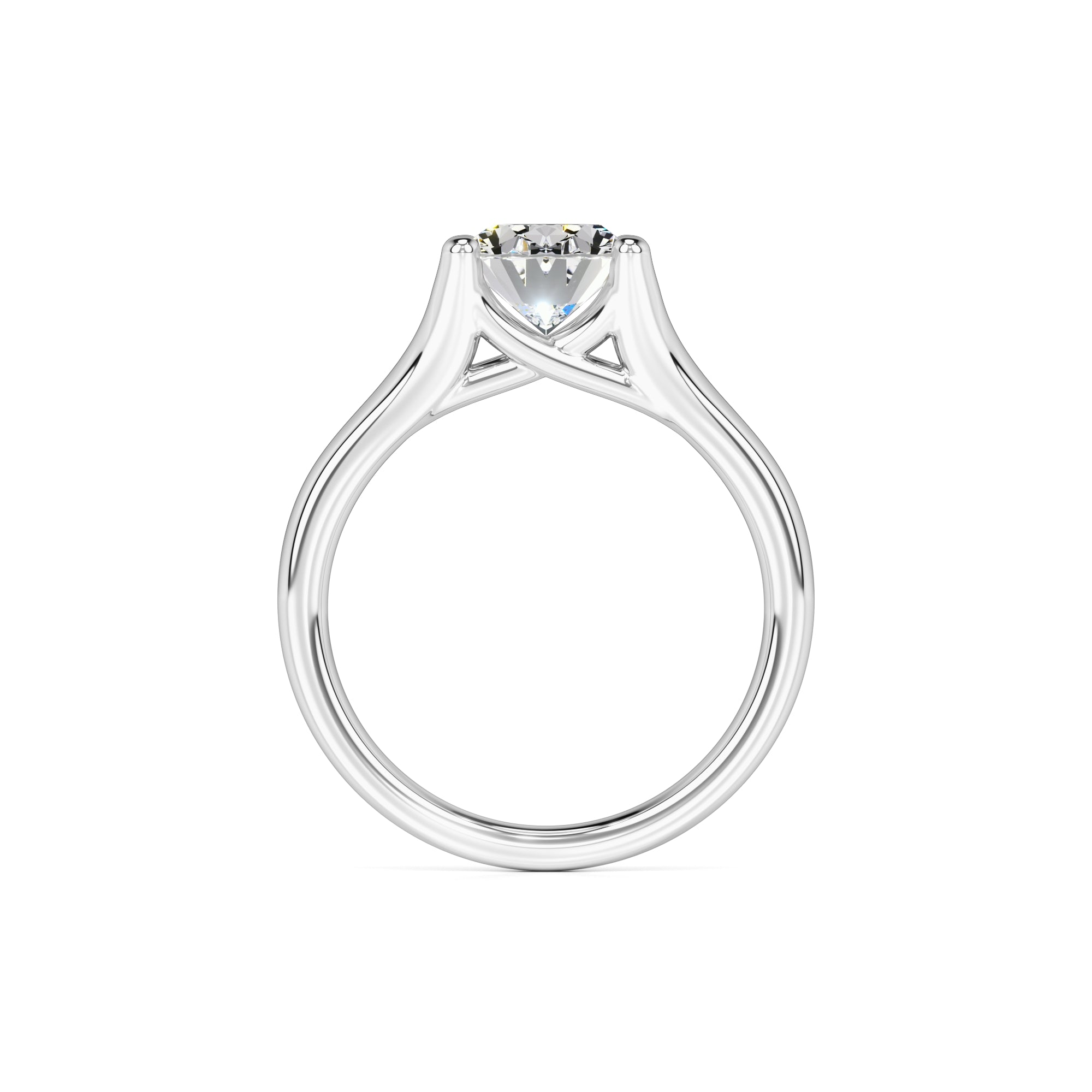 Brianna Moissanite & Lab Grown Diamond Ring | White Gold | 4