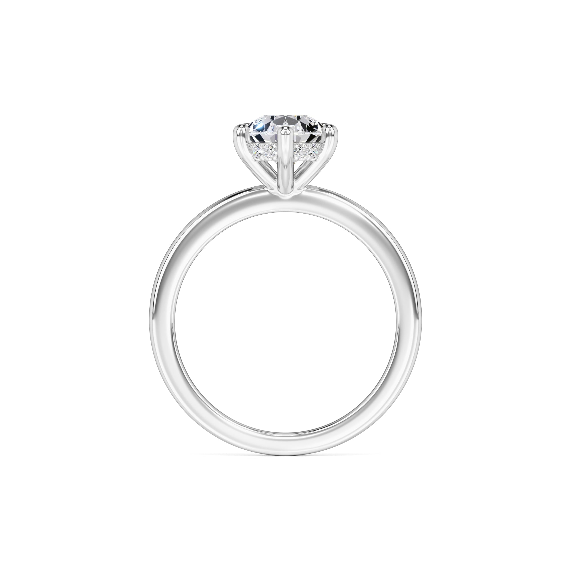 Daisy Moissanite & Lab Grown Diamond Ring | White Gold | 4