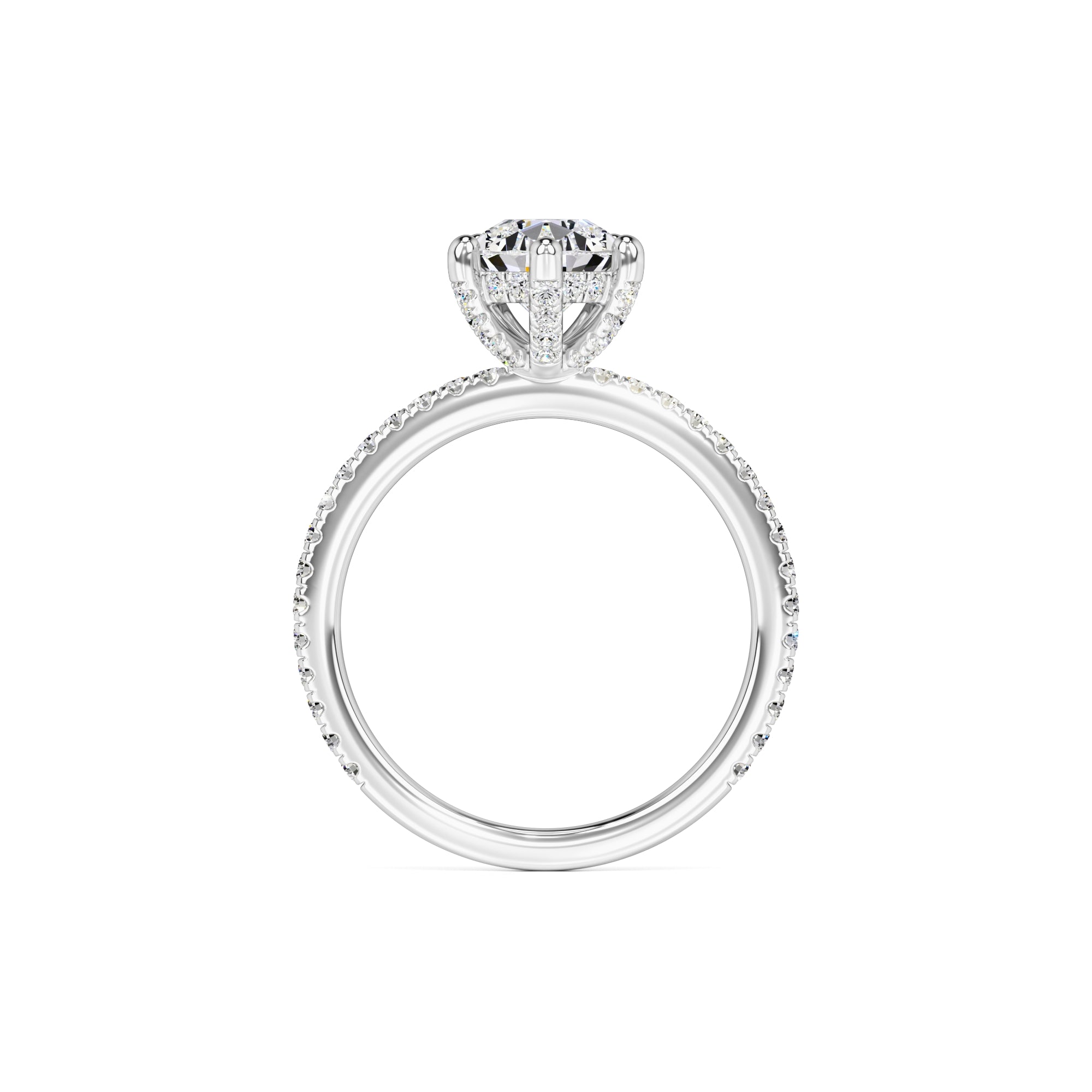 Paris Moissanite & Lab Grown Diamond Ring | White Gold | 4