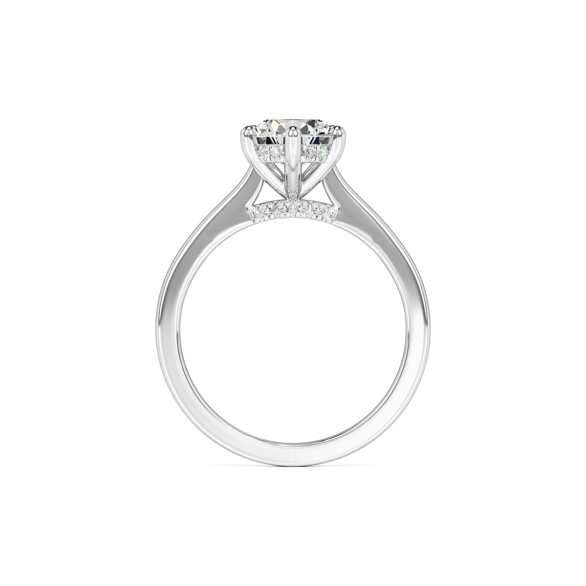 Cardi Moissanite & Lab Grown Diamond Ring | White Gold | 4