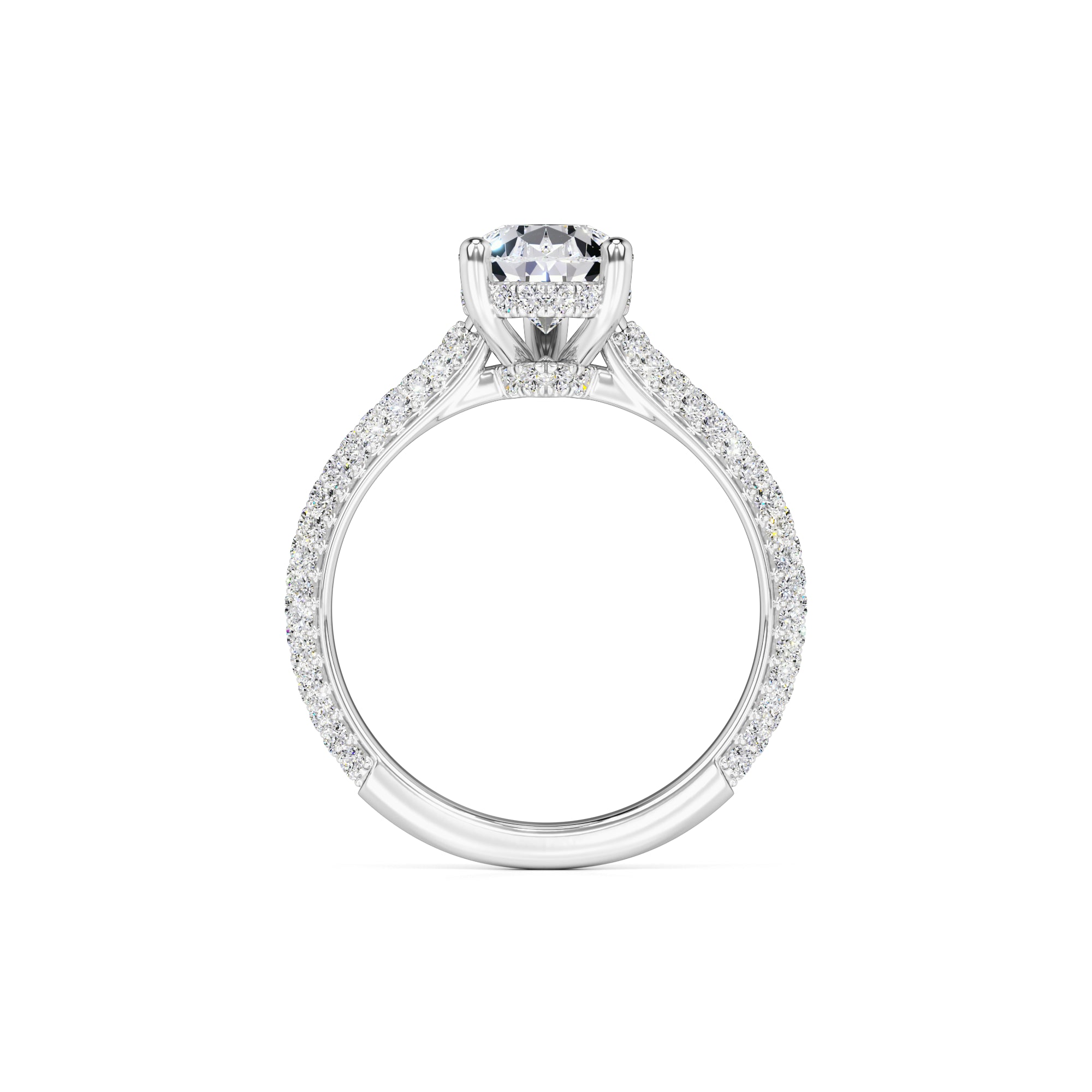 Lilyana Moissanite & Lab Grown Diamond Ring | White Gold | 4