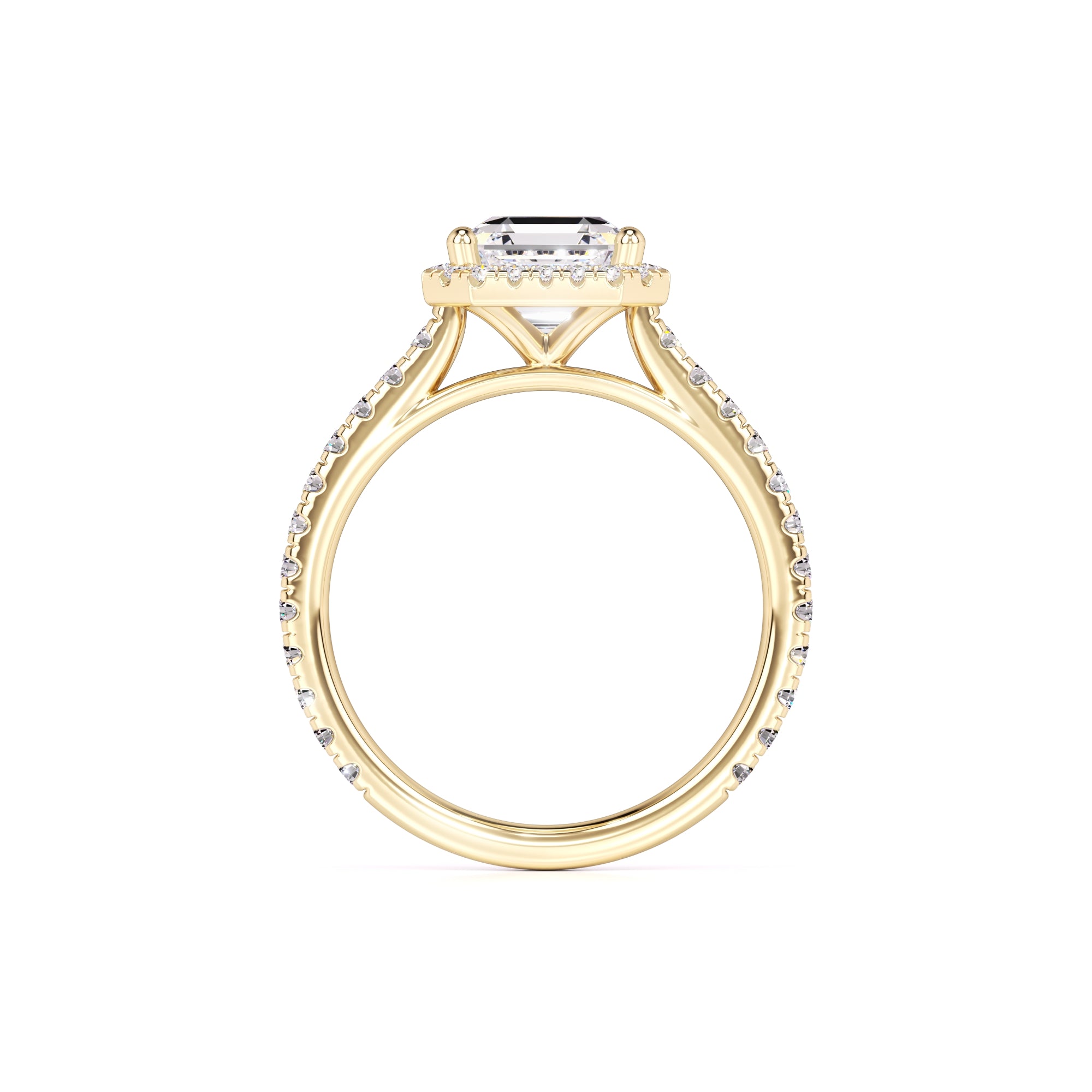 Jane Moissanite & Lab Grown Diamond Ring | Yellow Gold | 4