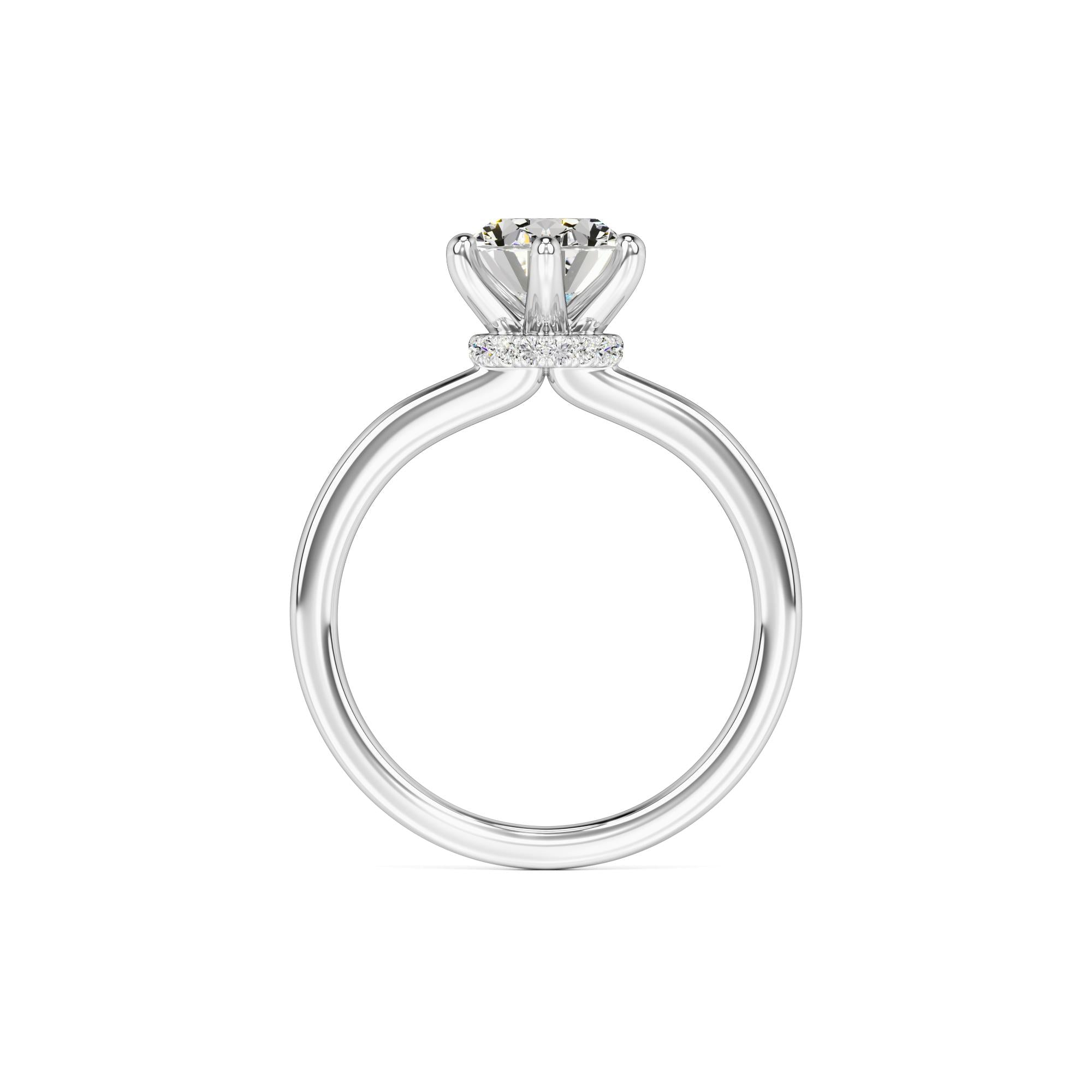 Ariana Moissanite & Lab Grown Diamond Ring | White Gold | 4