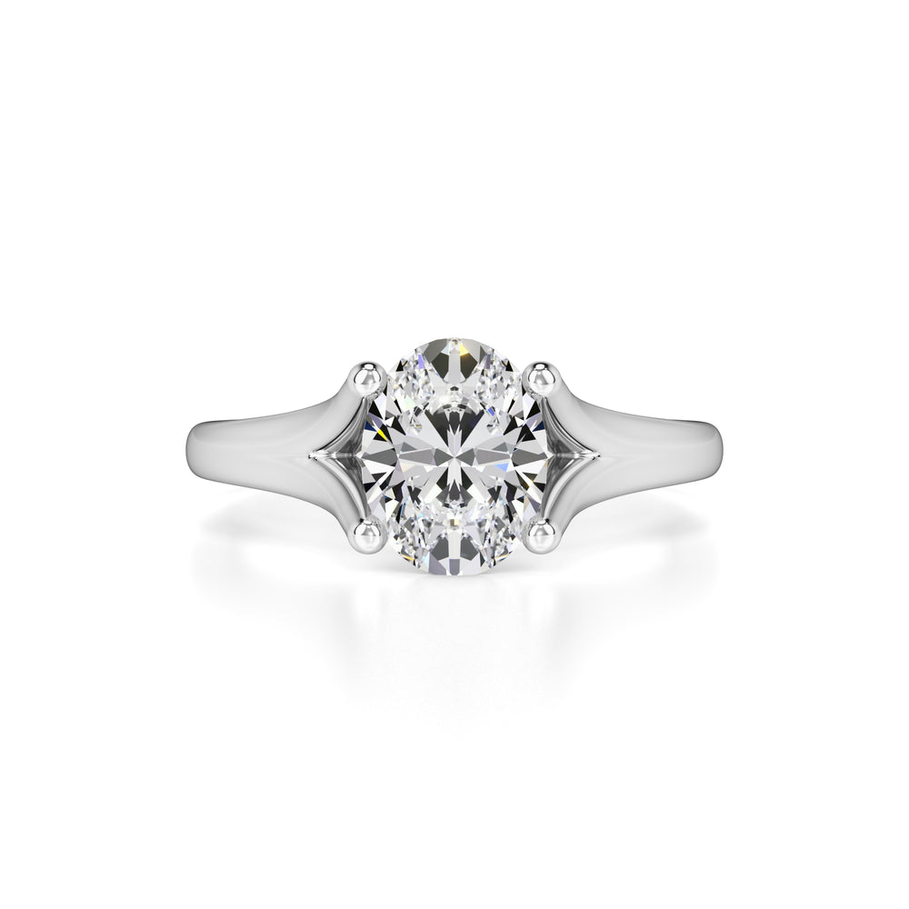 Brianna Moissanite & Lab Grown Diamond Ring | White Gold | 1