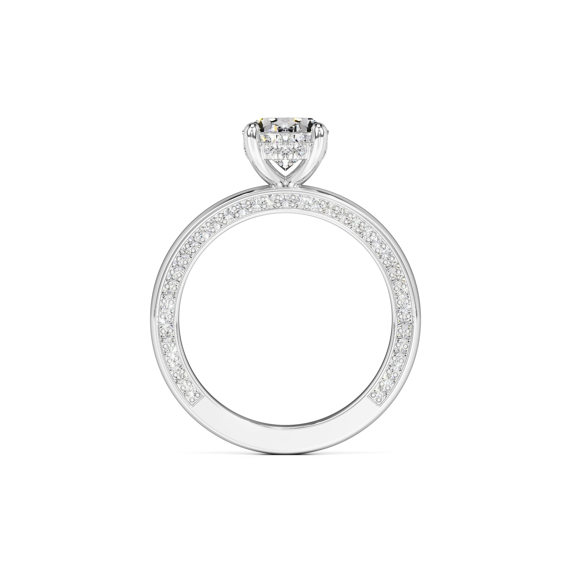 Molly Moissanite & Lab Grown Diamond Ring | White Gold | 4