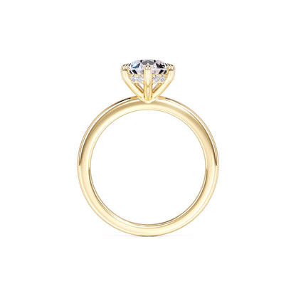 Daisy Moissanite & Lab Grown Diamond Ring | Yellow Gold | 4