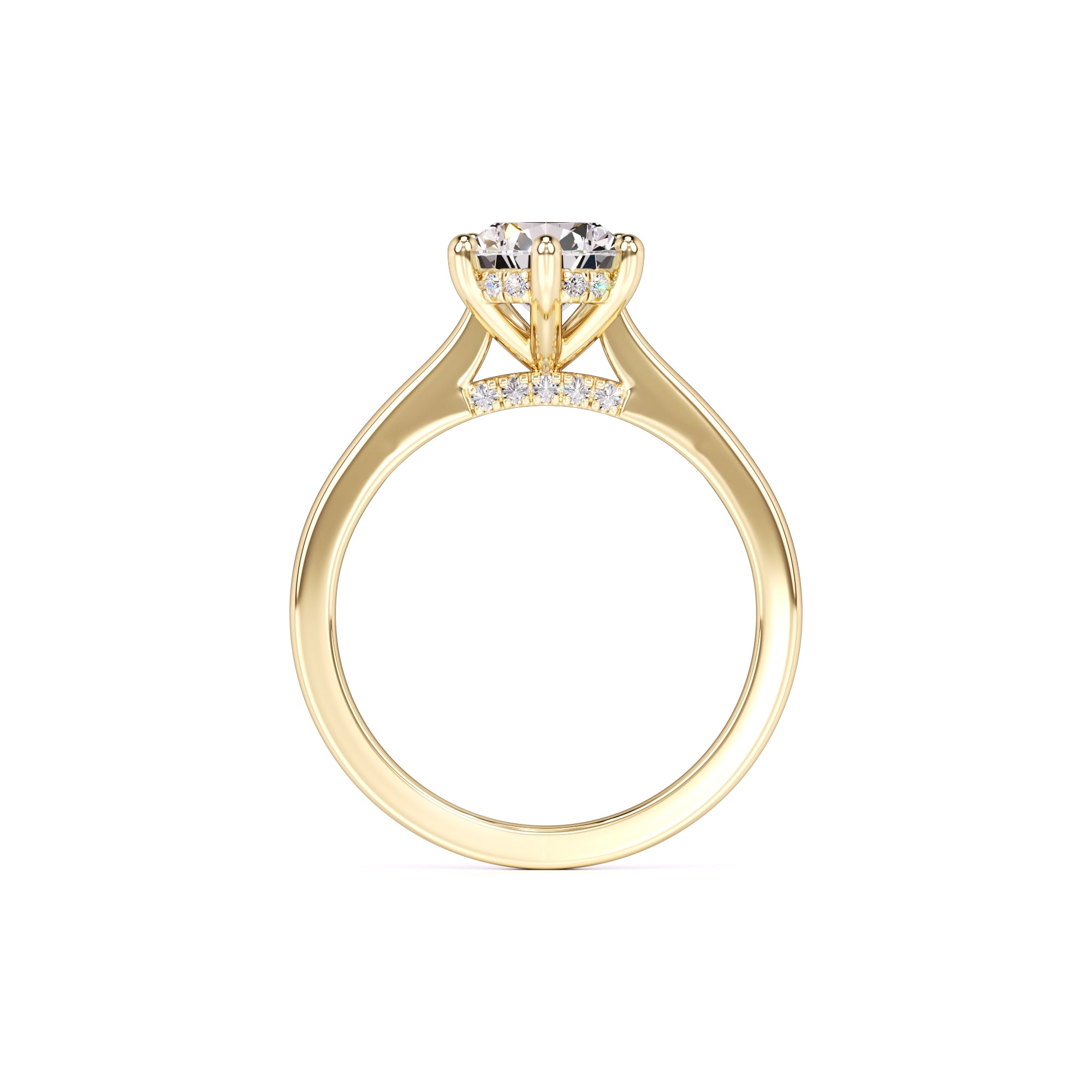Cardi Moissanite & Lab Grown Diamond Ring | Yellow Gold | 4