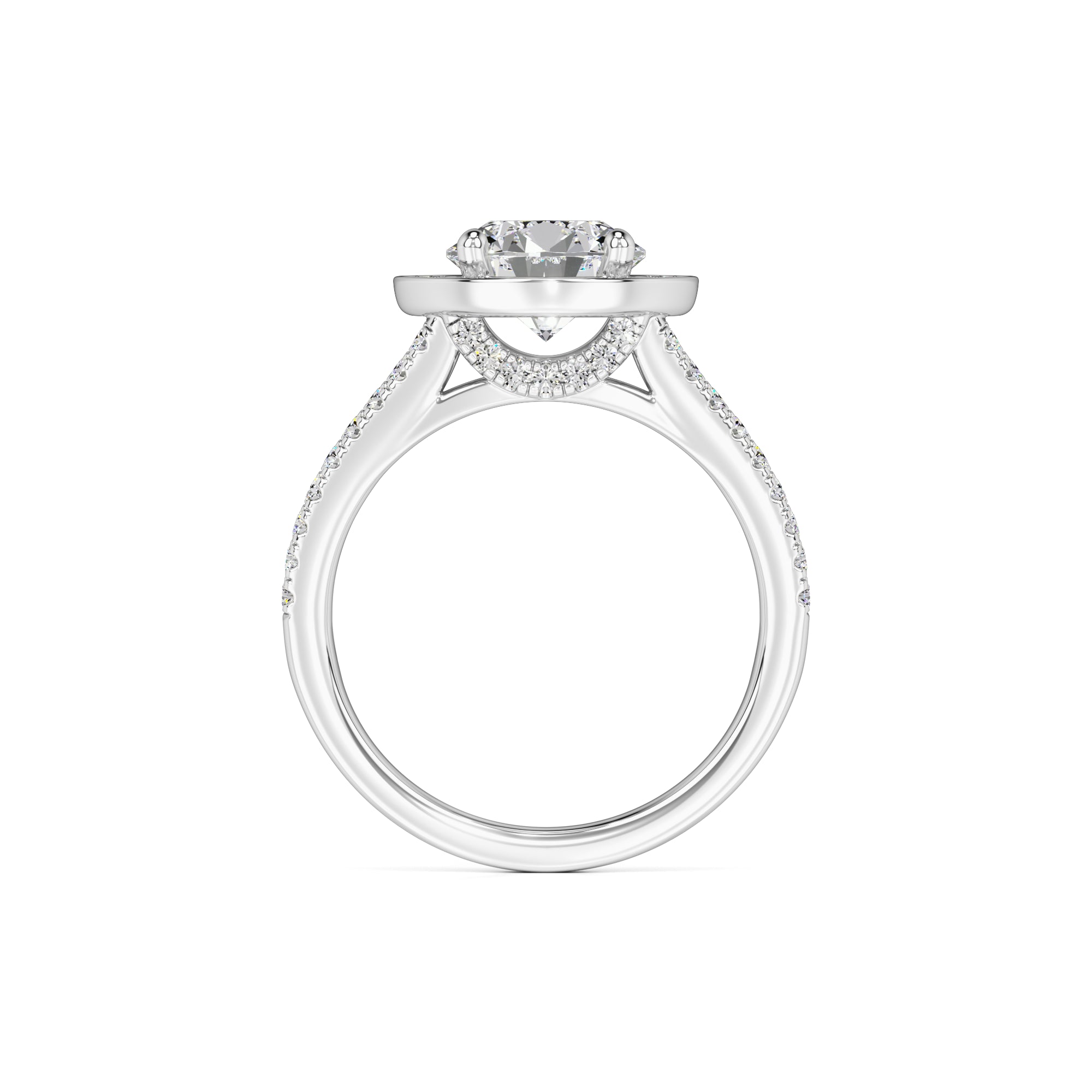 Danielle Moissanite & Lab Grown Diamond Ring | White Gold | 4