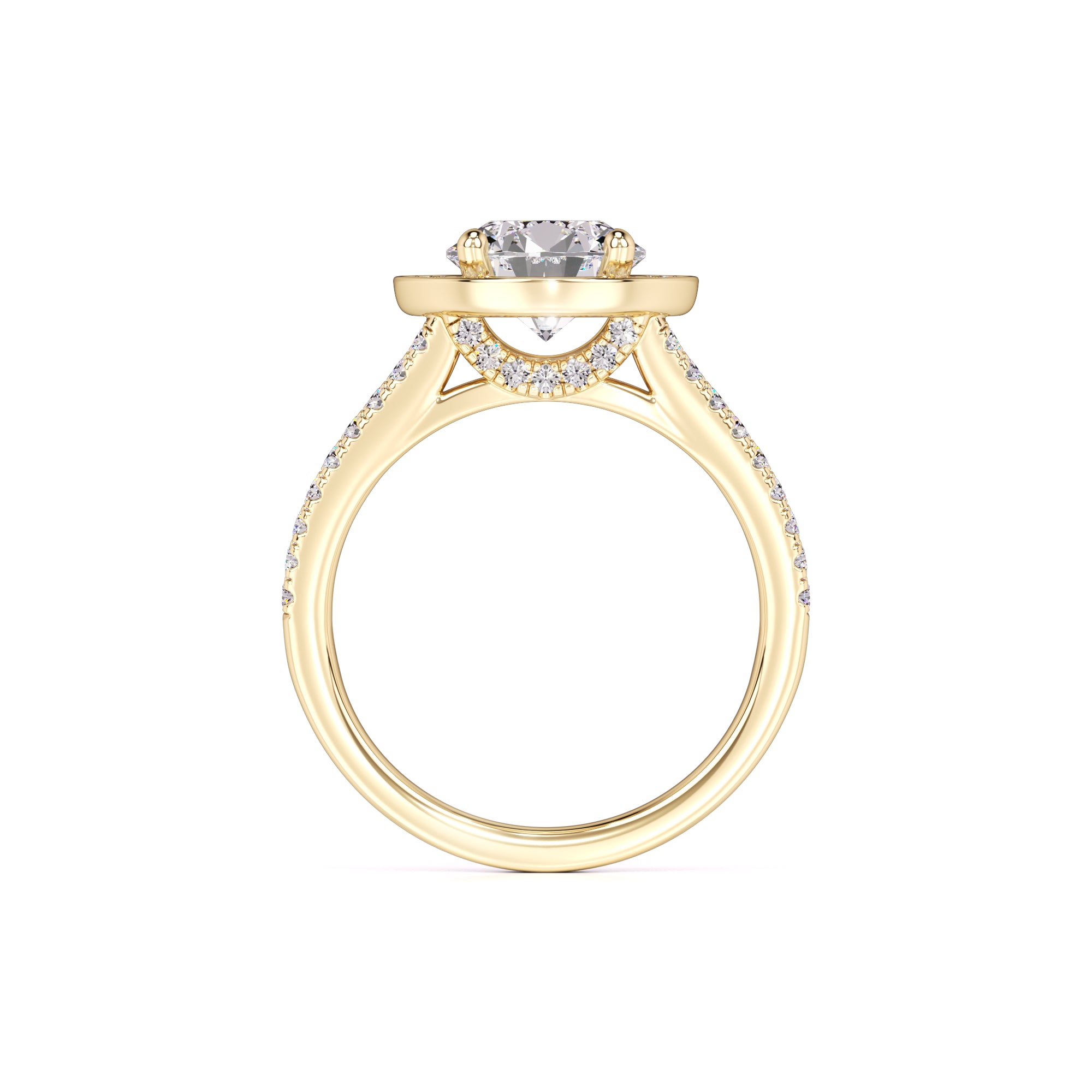 Danielle Moissanite & Lab Grown Diamond Ring | Yellow Gold | 4